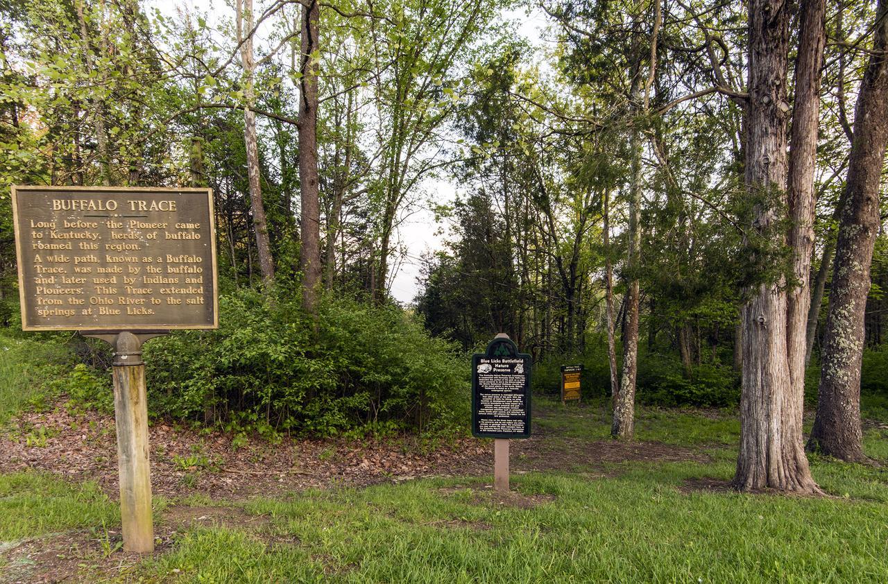 Blue Licks Battlefield State Park Hotel Carlisle Bagian luar foto